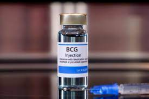 bcg vaccine